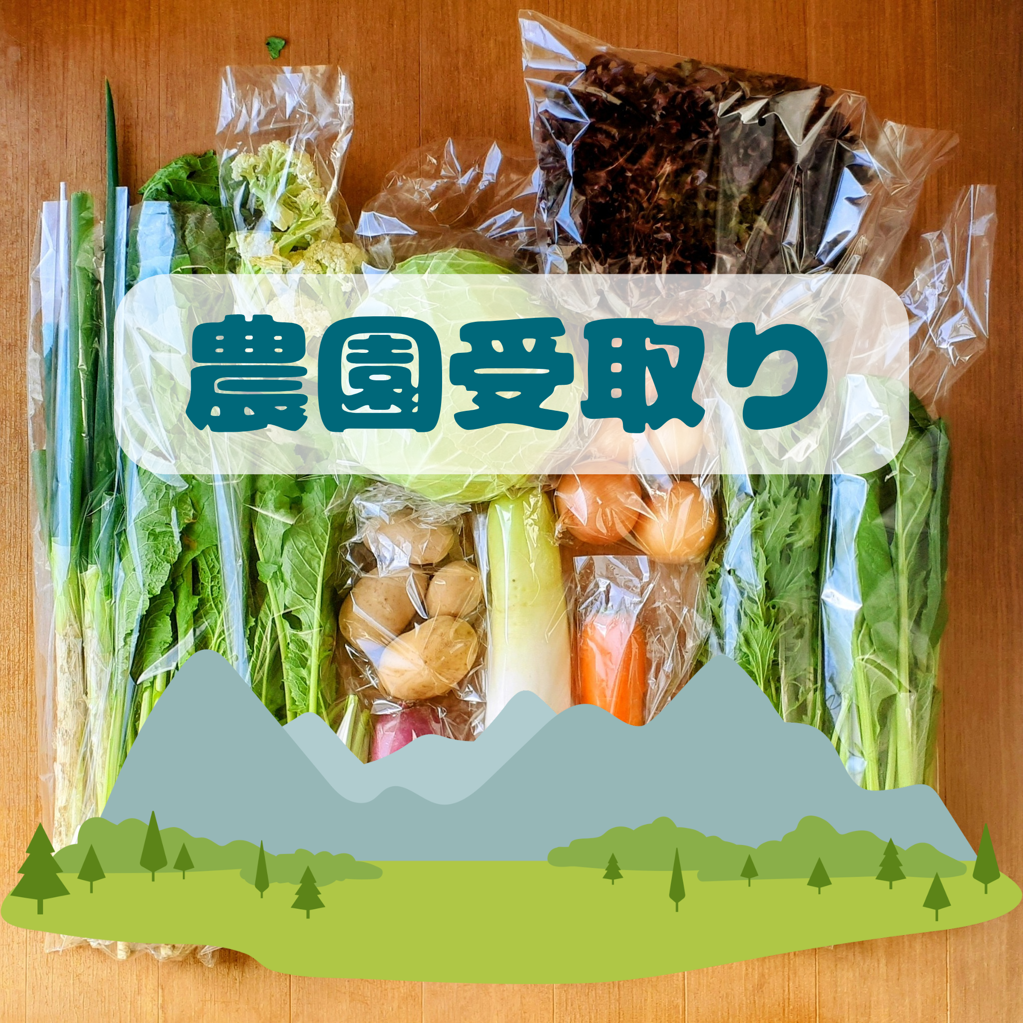 農園受取り】信州四賀より里山の旬野菜セット – たべくら農園