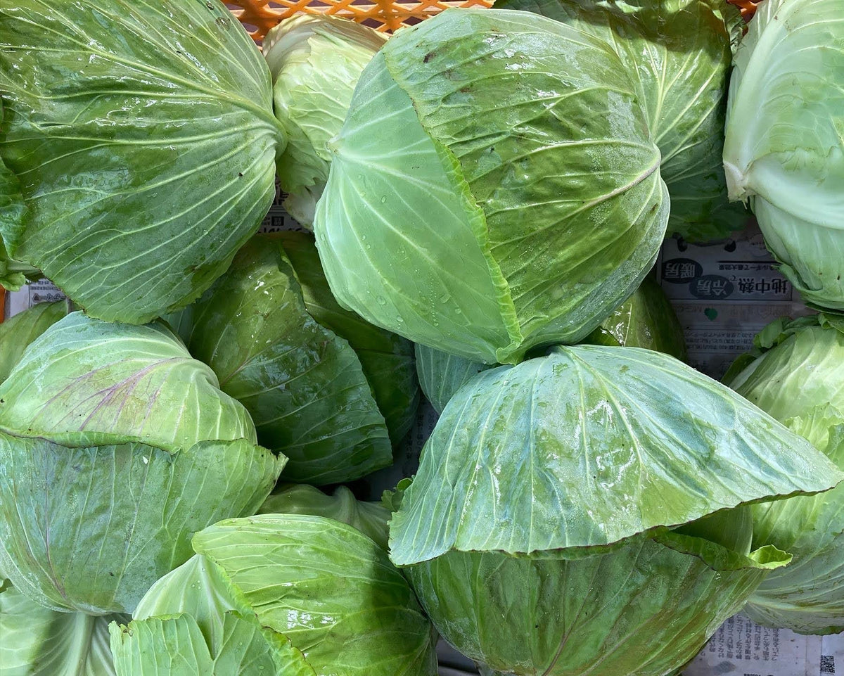 【野菜ギフト】信州四賀より里山の旬野菜セット 9品目