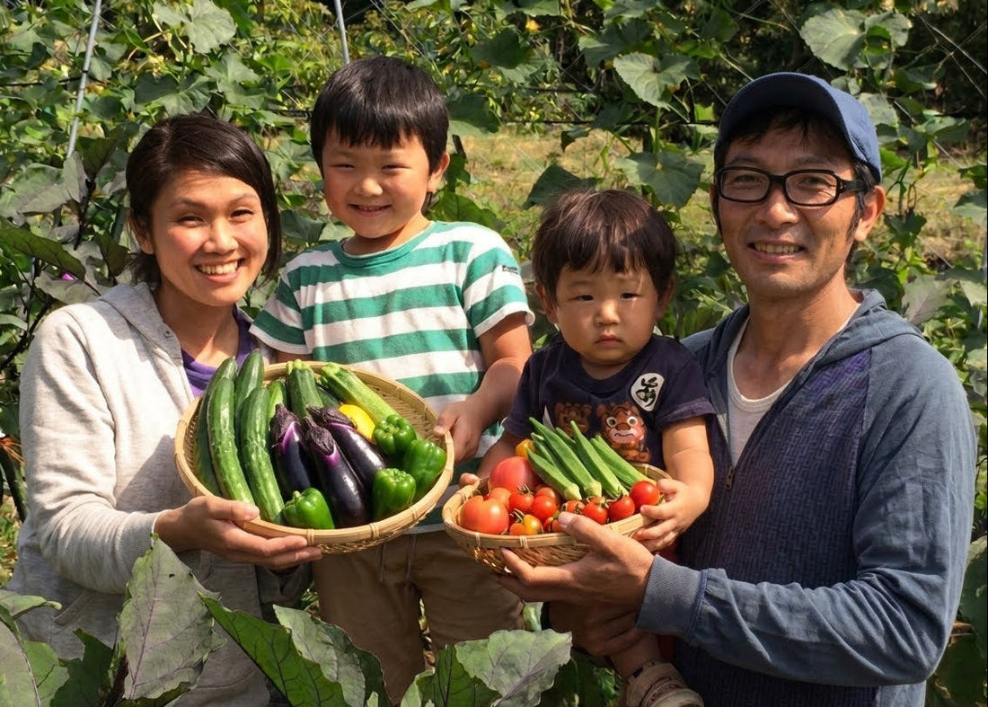 野菜セットへの想い