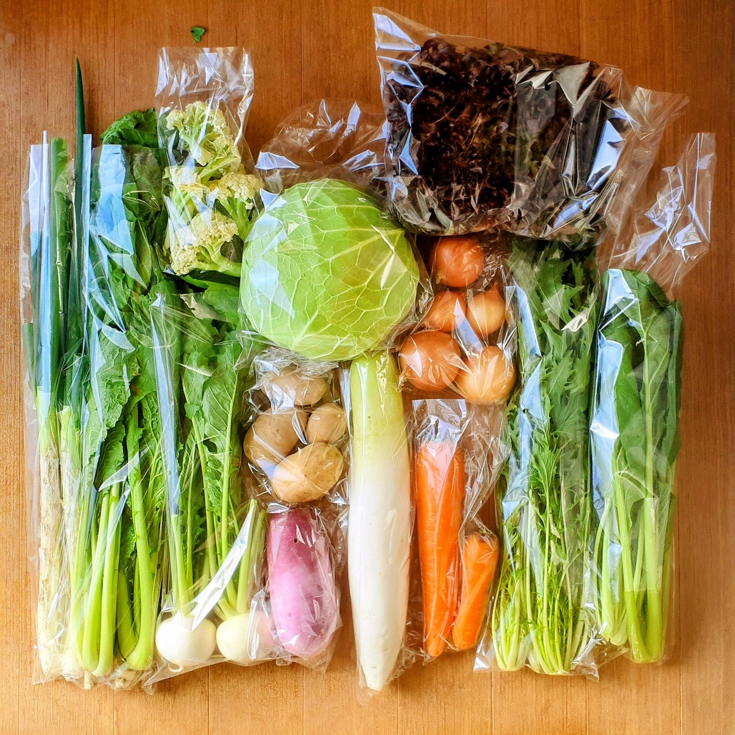 信州四賀より里山の旬野菜セット