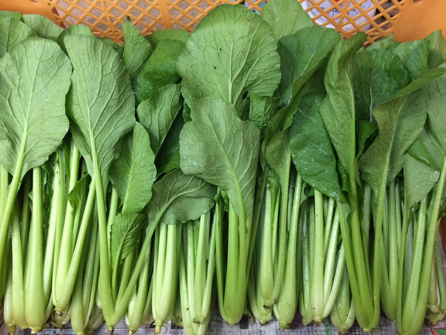 【野菜セットに追加】