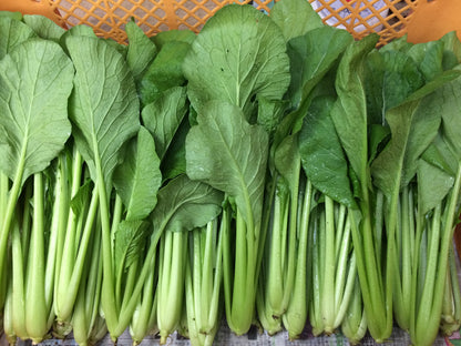 【野菜セットに追加】