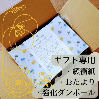 【野菜ギフト】信州四賀より里山の旬野菜セット　9品目