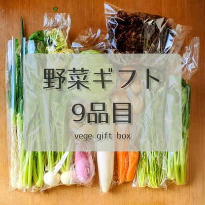 【野菜ギフト】信州四賀より里山の旬野菜セット　9品目